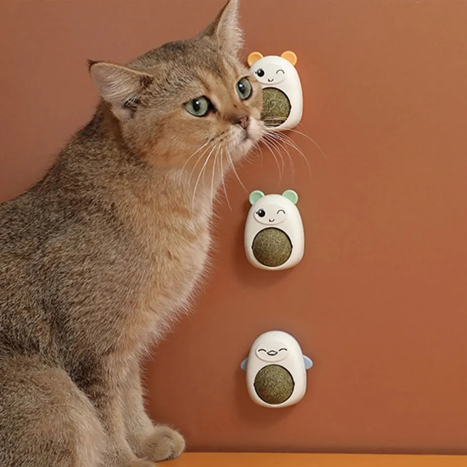 Interaktivní Stick-Hračka pro Kočky S Přírodní rostlina přitahující kočky - Podporuje Trávení, domácí Zvířata Kočky Pet Produkty v Nabídkách Zvyšuje Energii Škrabka